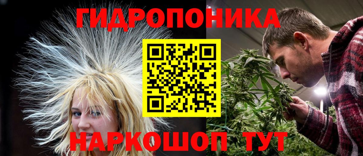 Конопля White Widow  Бошки марихуана сатива  Вход с VPN  Канабис план  Красногорск 